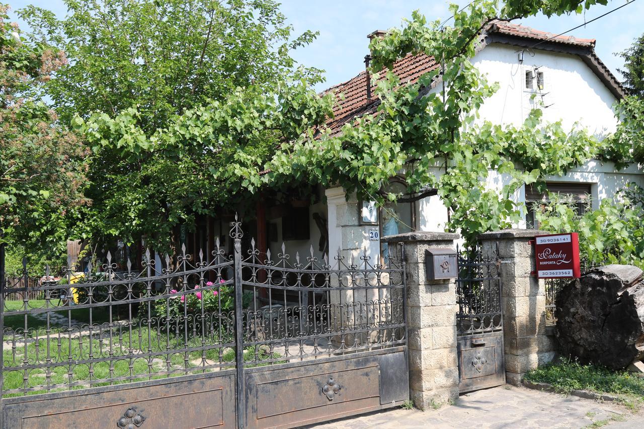 Bed and Breakfast Pataky Borporta Tarcal Exterior foto