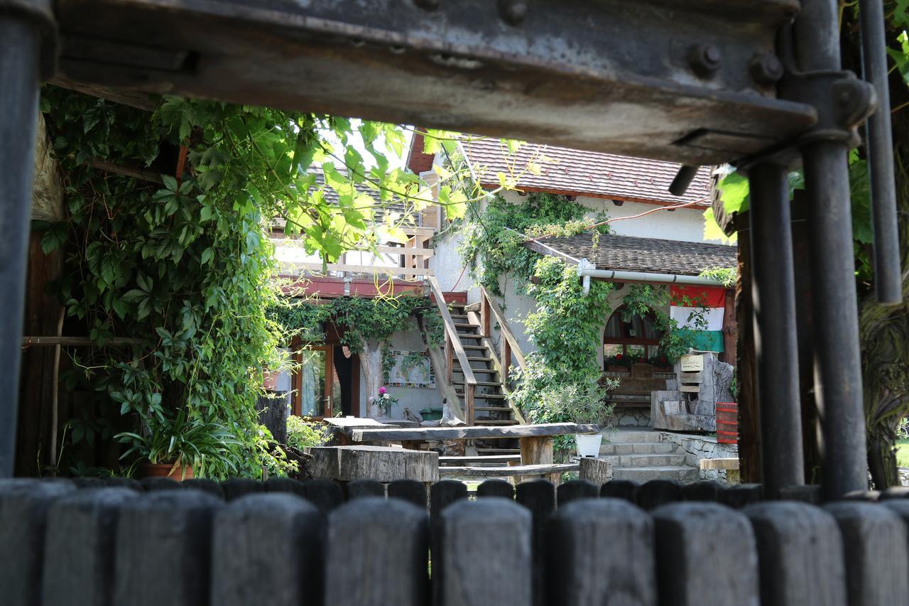 Bed and Breakfast Pataky Borporta Tarcal Exterior foto