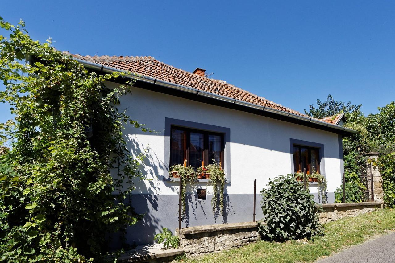 Bed and Breakfast Pataky Borporta Tarcal Exterior foto